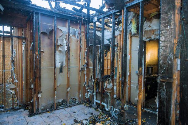 Professional Fire Damage Removal technician working in Maryland City, MD